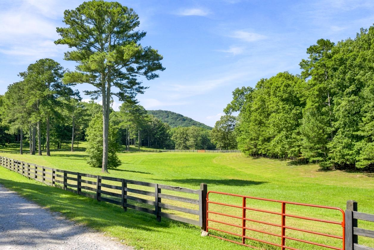 Anderson Creek Retreat - photo 17
