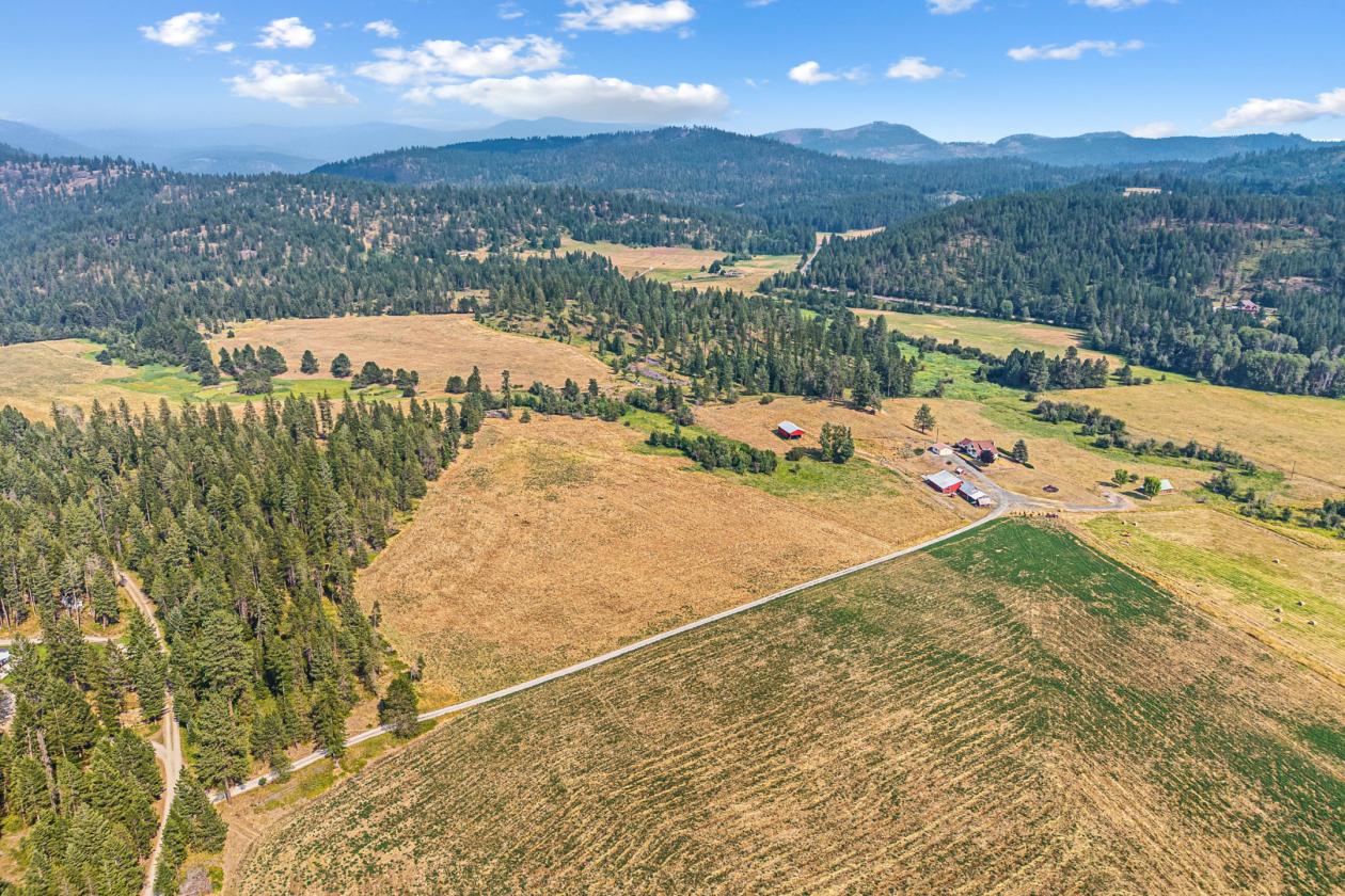 1923 Farmhouse on 36.5 acres w/ADU and more! - photo 18