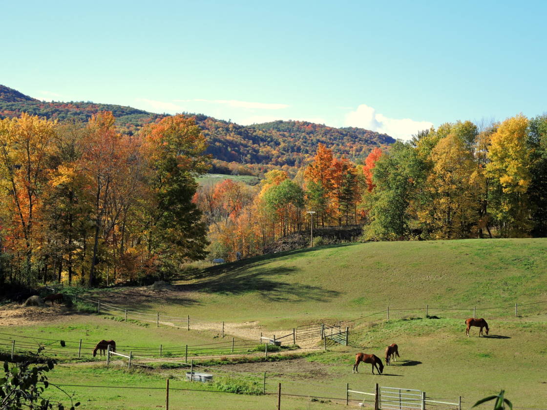 Equestrian Center REDUCED! Continue to board or convert