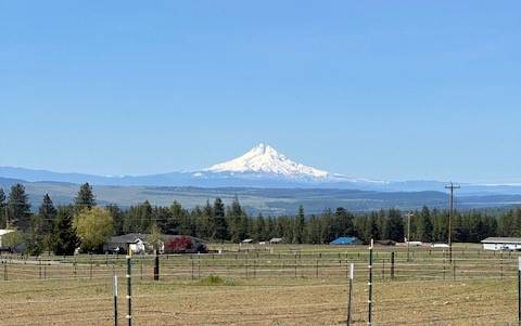 Horse Property for sale.