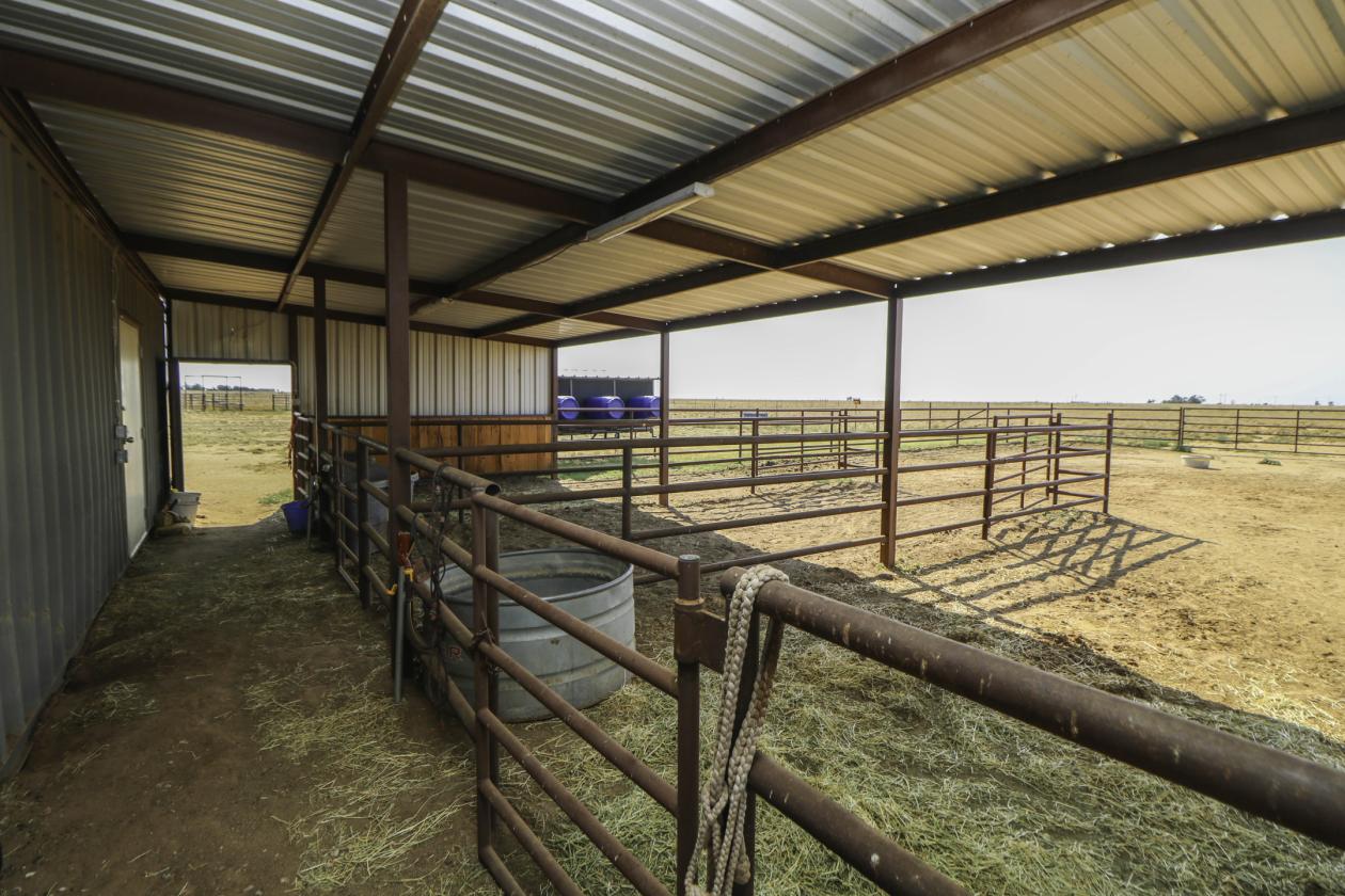 Prime Texas Ranch with Arena, Home, & Acreage - photo 22
