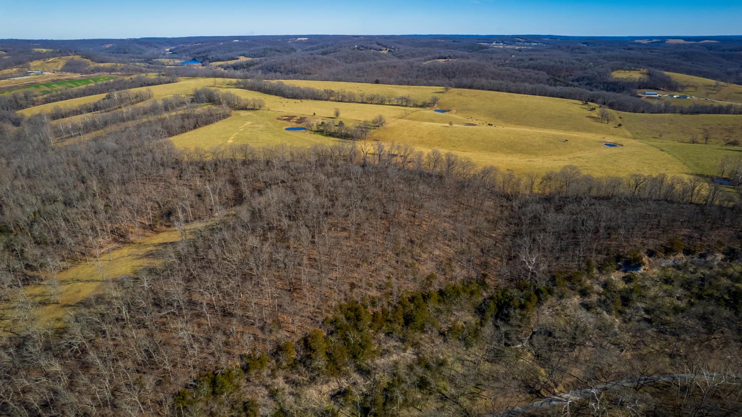 Stansberry Creek Ranch | 1,835 ± Acres - photo 22