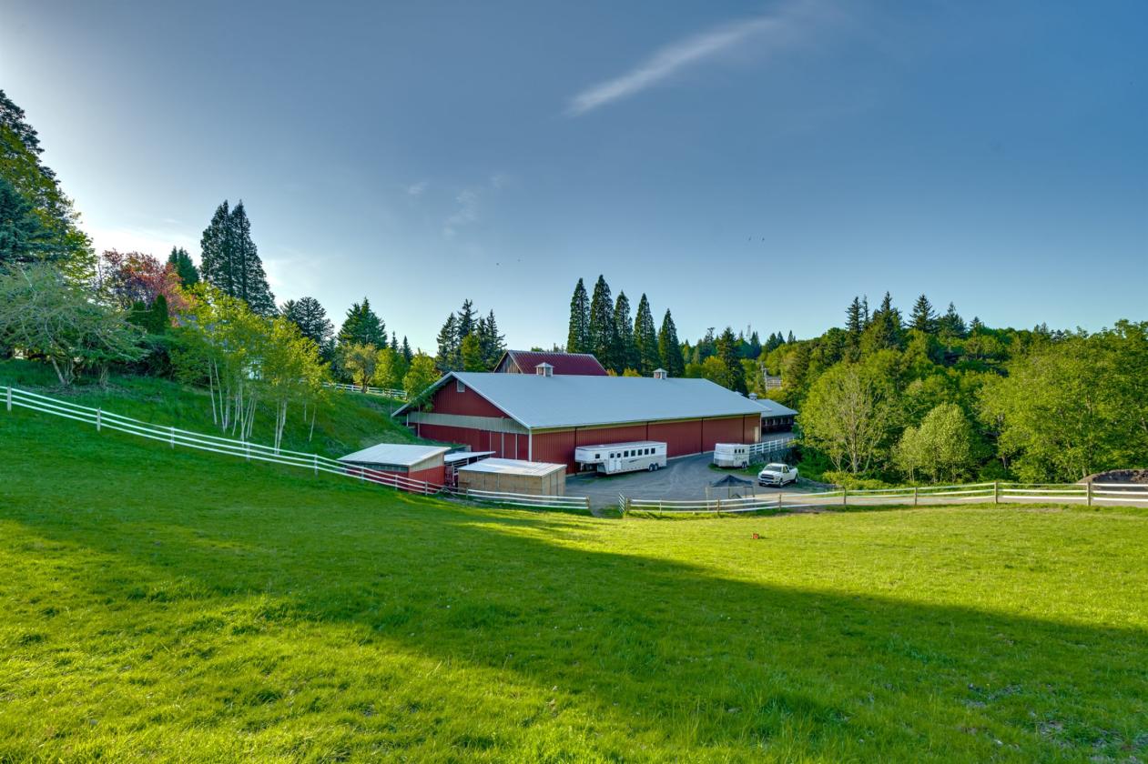 Luxury equestrian estate with pool, barn, arenas - photo 22