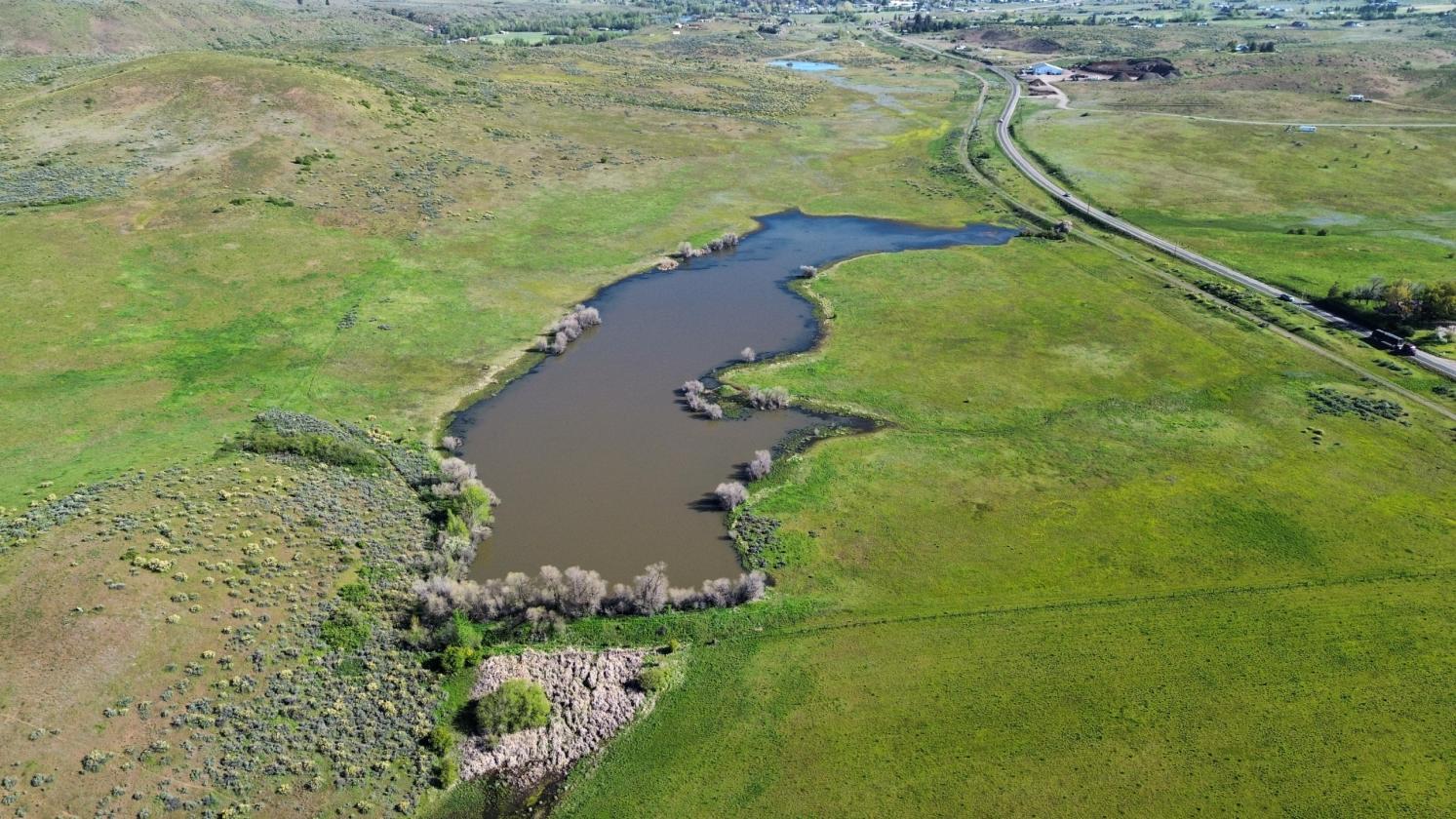 Exceptional 230± Acre Ranch - photo 8