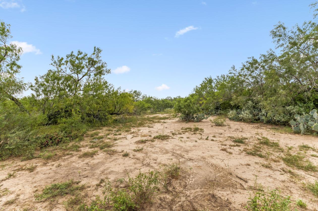 17.43 acres near Saint Hedwig - photo 6