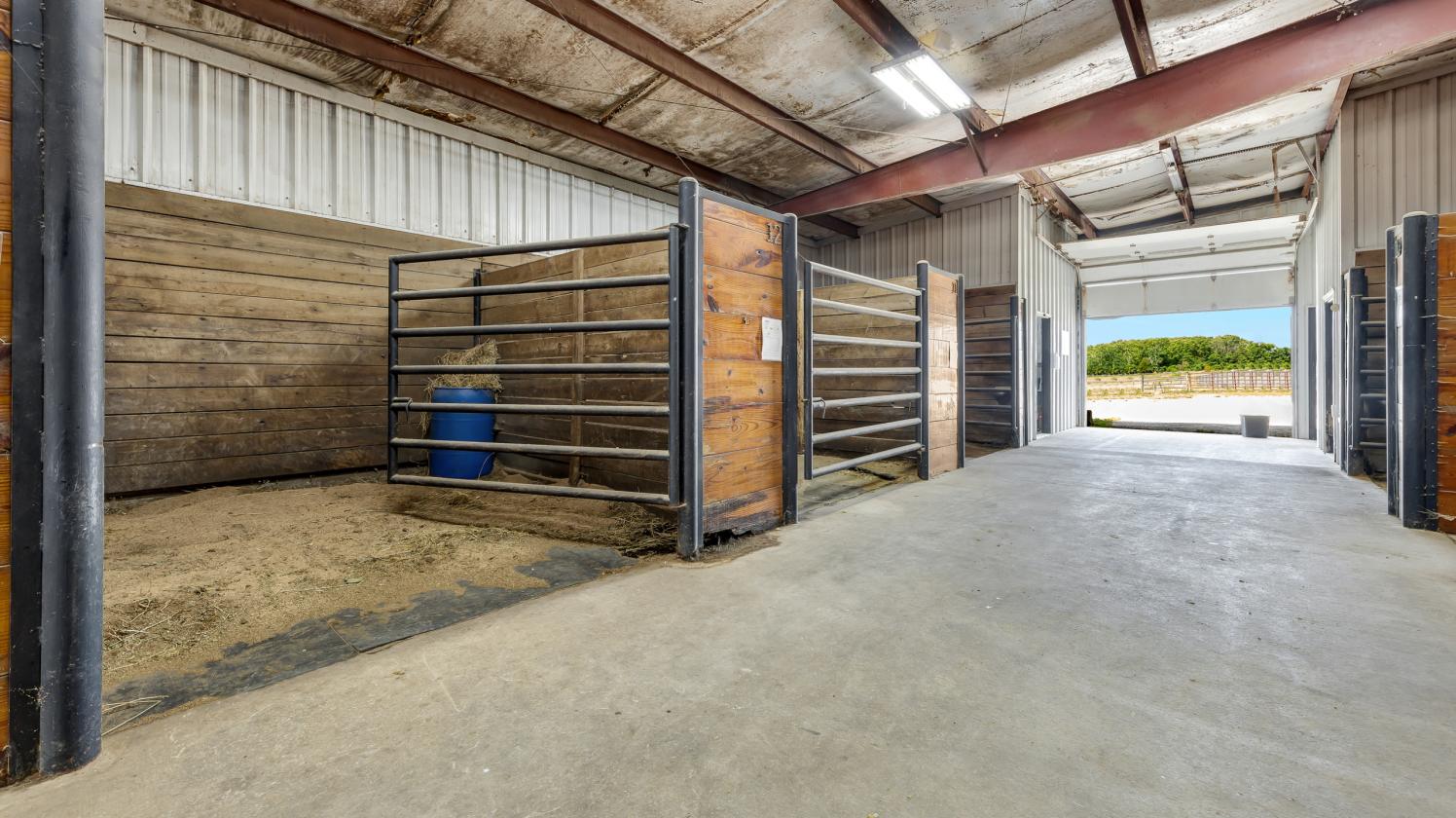 The Ultimate Equestrian Business Opportunity - photo 6