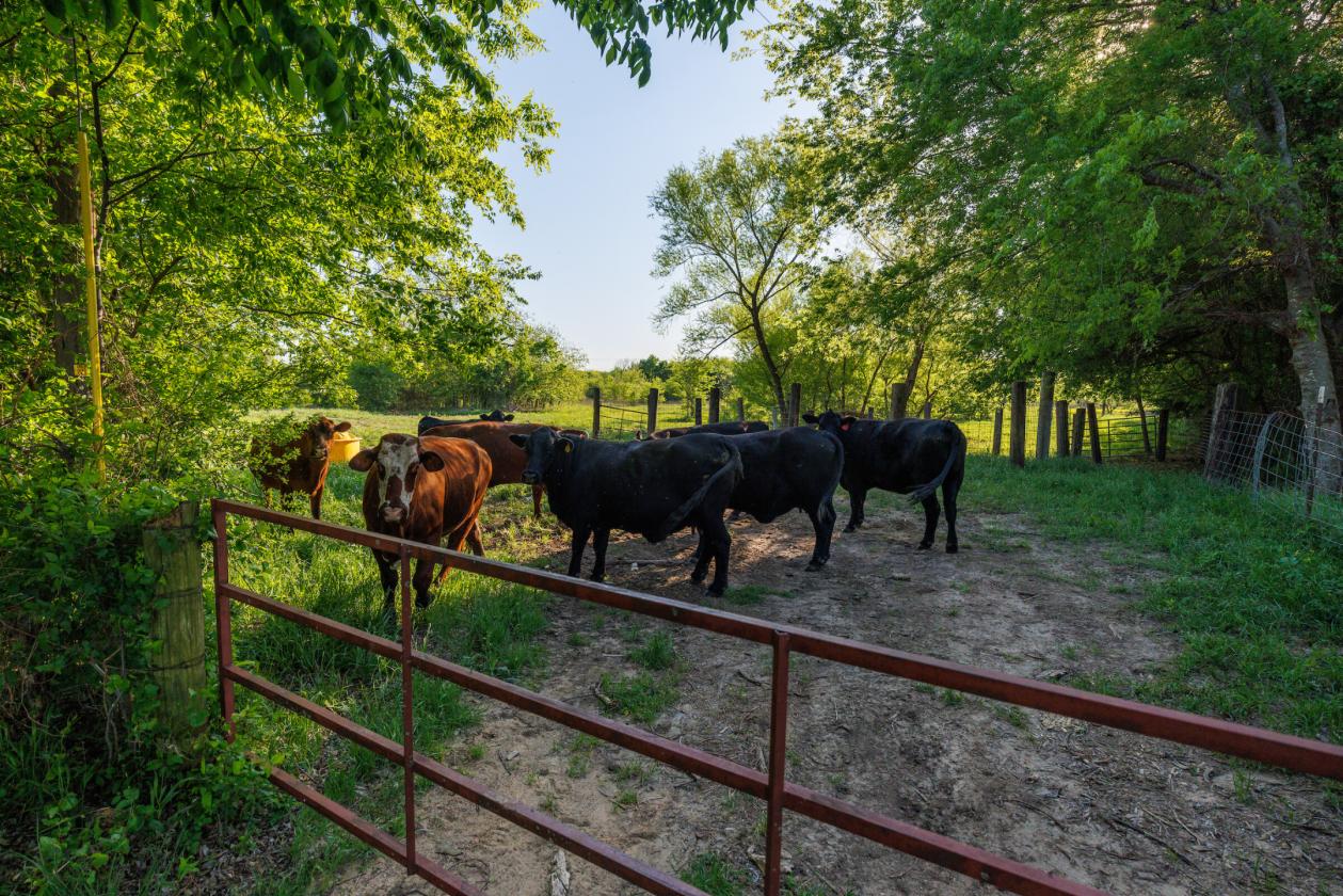 Brittany Hollow Ranch - photo 11