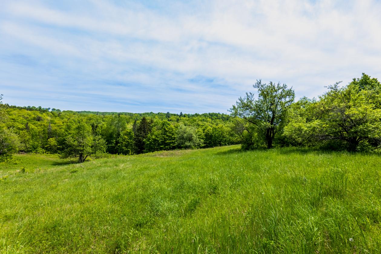 Equestrian Paradise in Picturesque Strafford - photo 16