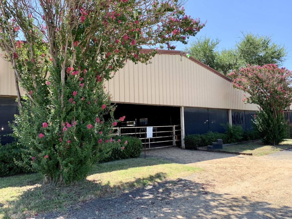 TM Horse Ranch - photo 6
