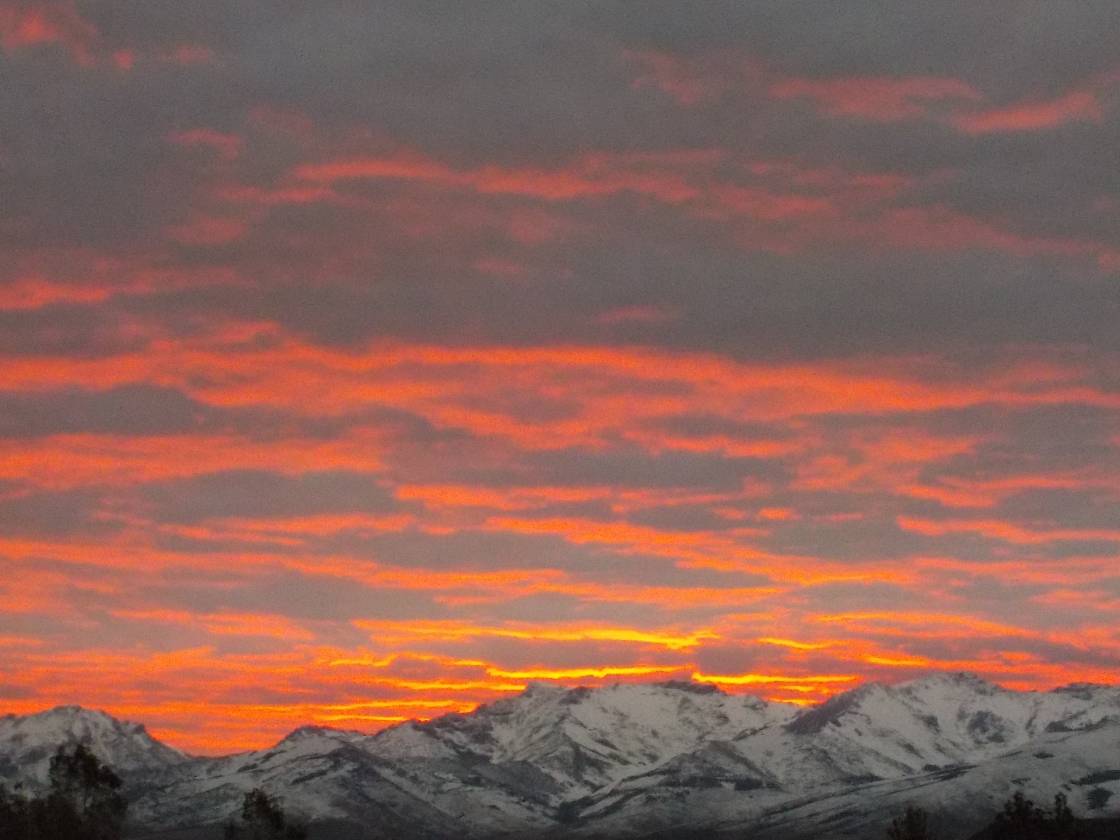 Horse Property for sale.