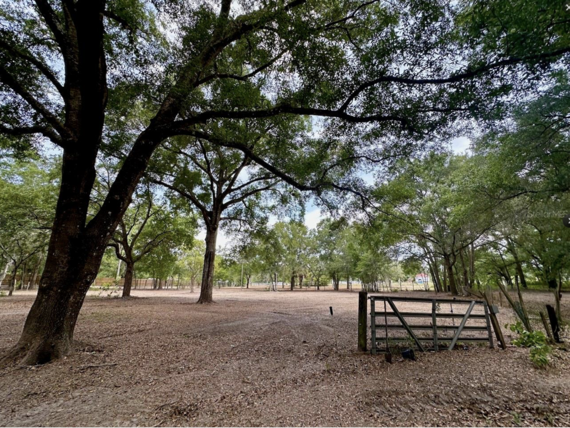 14.5 ACRES • NOW AR ZONED • HORSES/RVS • NO HOA! - photo 1
