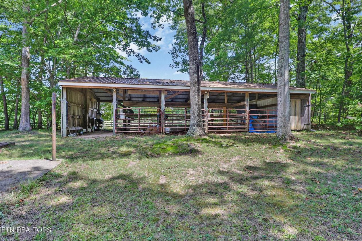 Cozy cabin in the woods, Big South Fork - photo 23