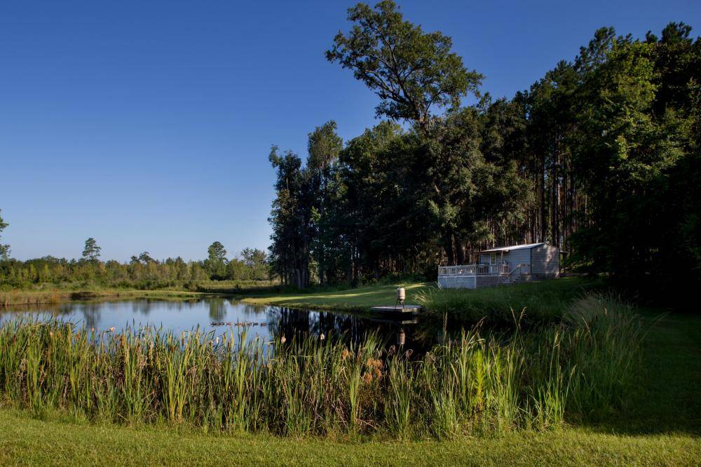 29 Oaks Luxury Home & Recreational Estate Early Branch, Jasper County