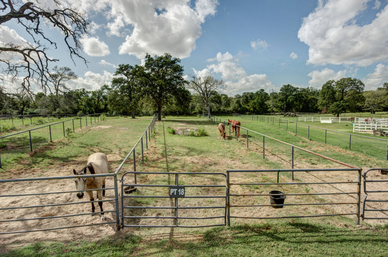 Horse property for sale with scenic views College Station, Brazos County, Texas Horse Properties