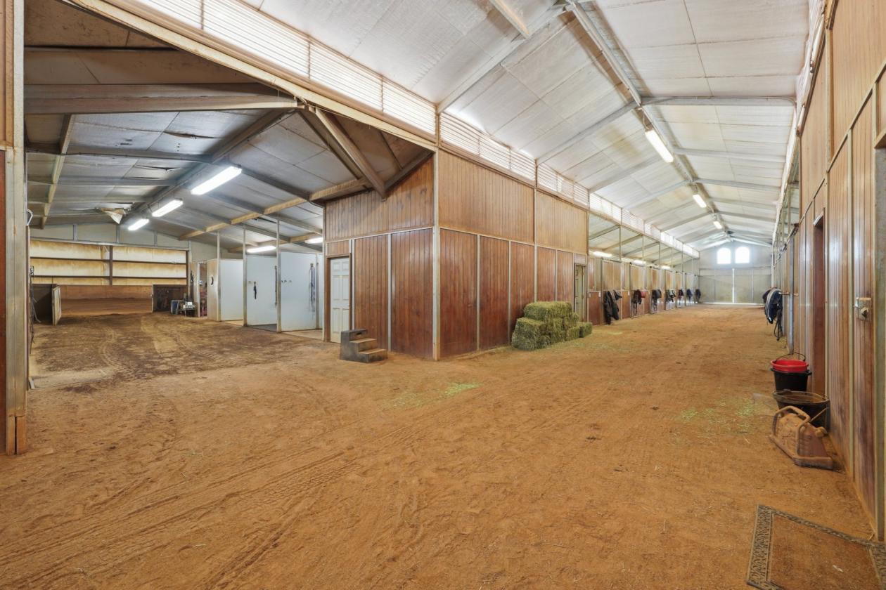 Premier 51± Acre Equestrian Opportunity - photo 9