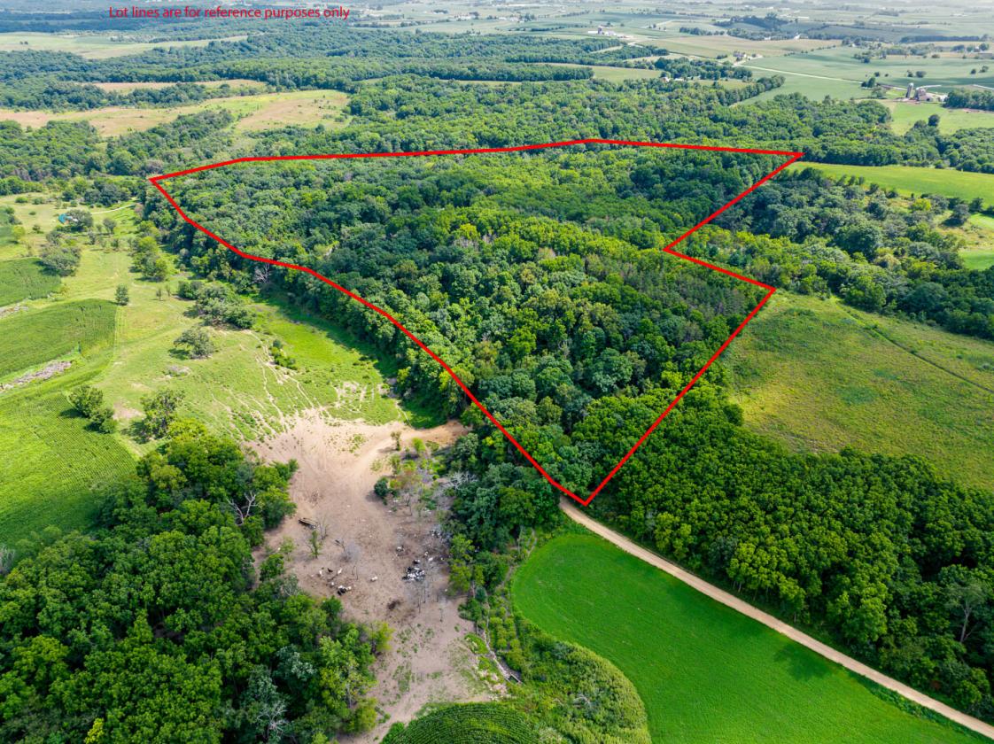 Approx 62 exceptional hunting acres w/ barndo - photo 4