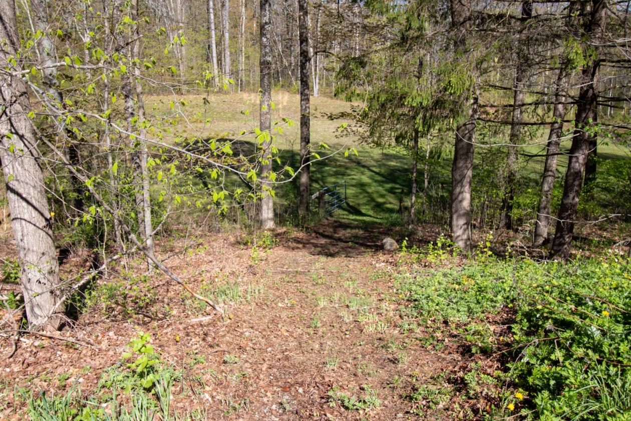 Homesteading Property - photo 6