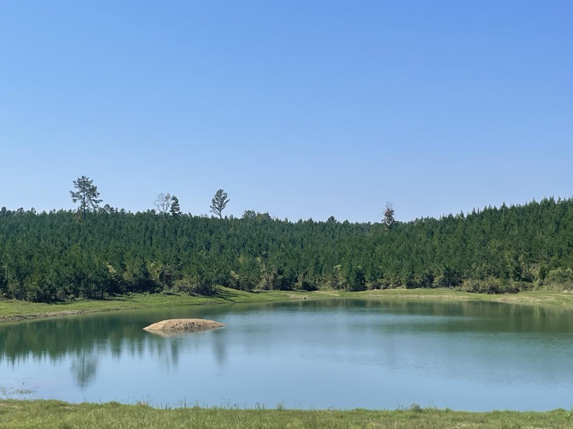 160 Acres in Shelby County w/ pastures and lake - photo 7
