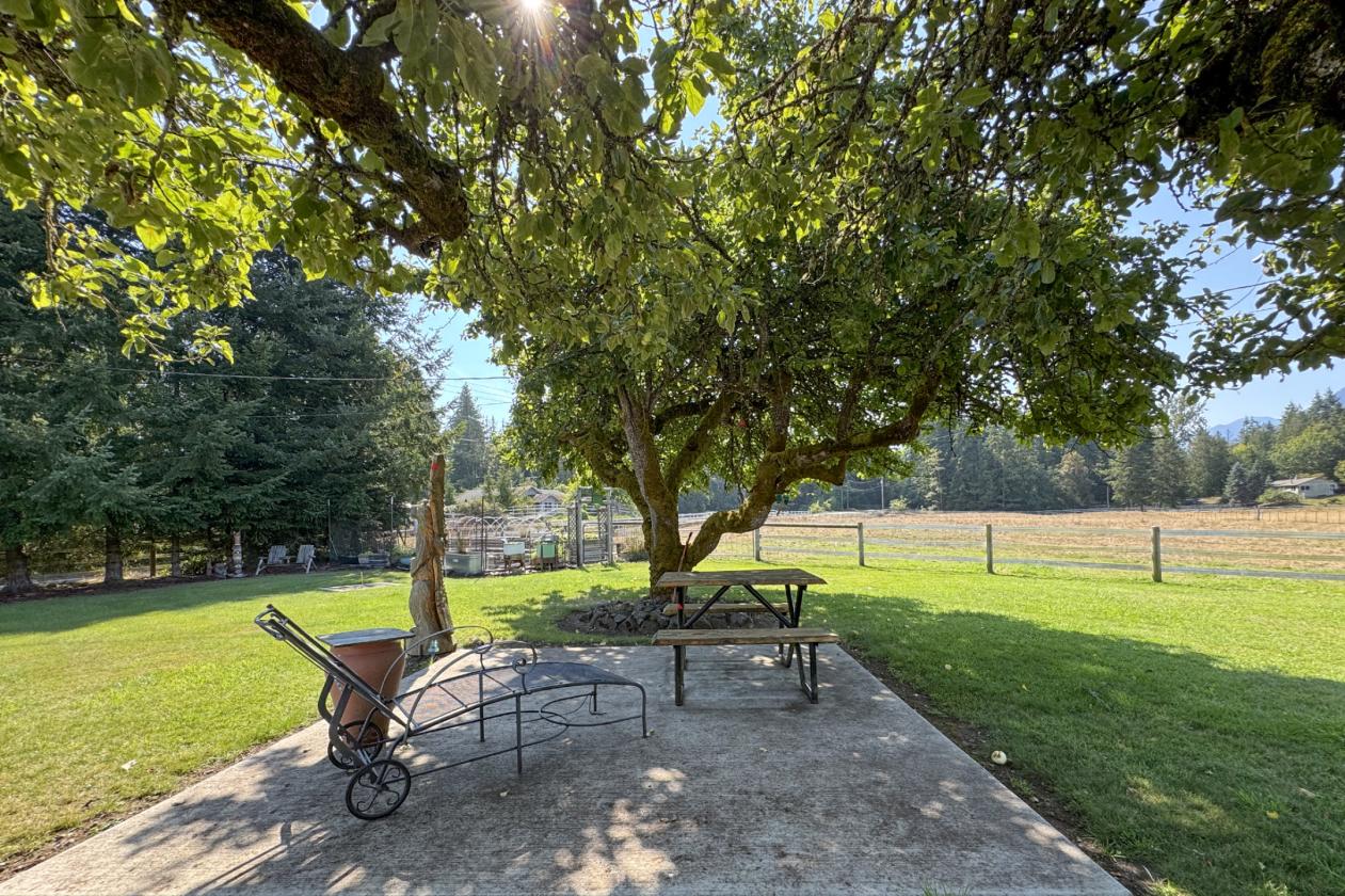 18+ Acre Turn-Key Ranch With Mountain Views - photo 17