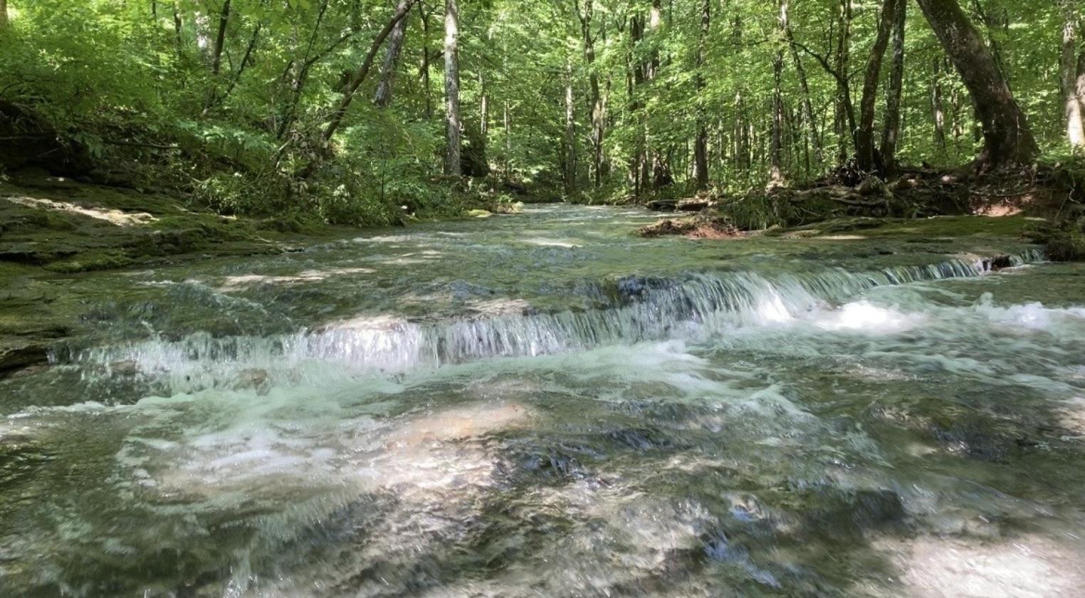 Creekside Equestrian Retreat on 19.3 acres - photo 8