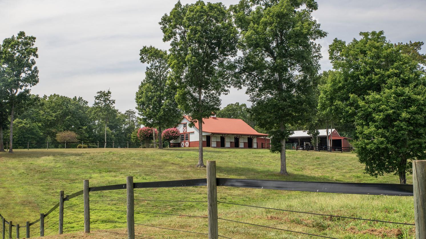 243-Acre Horse Farm w/ Log Home & Stable - photo 9