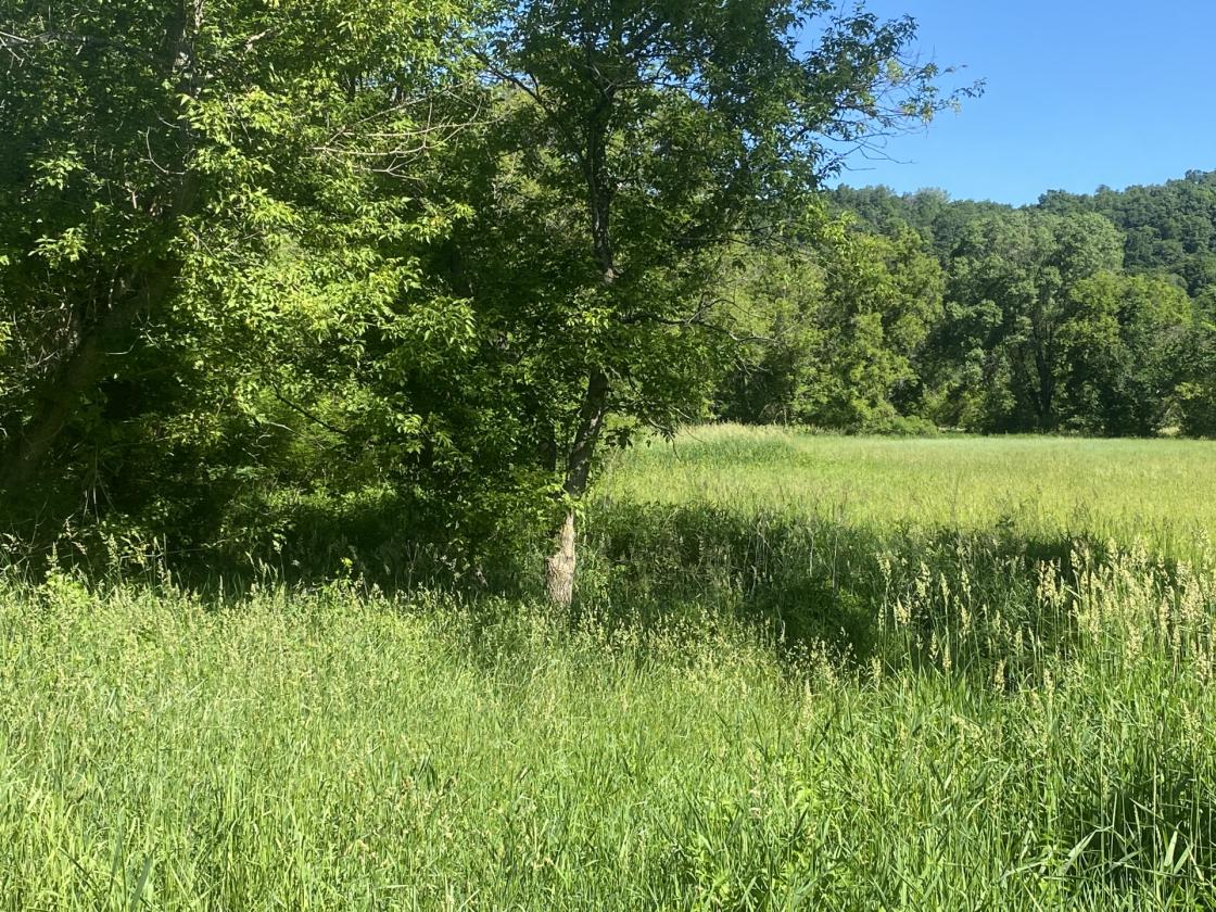 Deep River Farm - photo 2