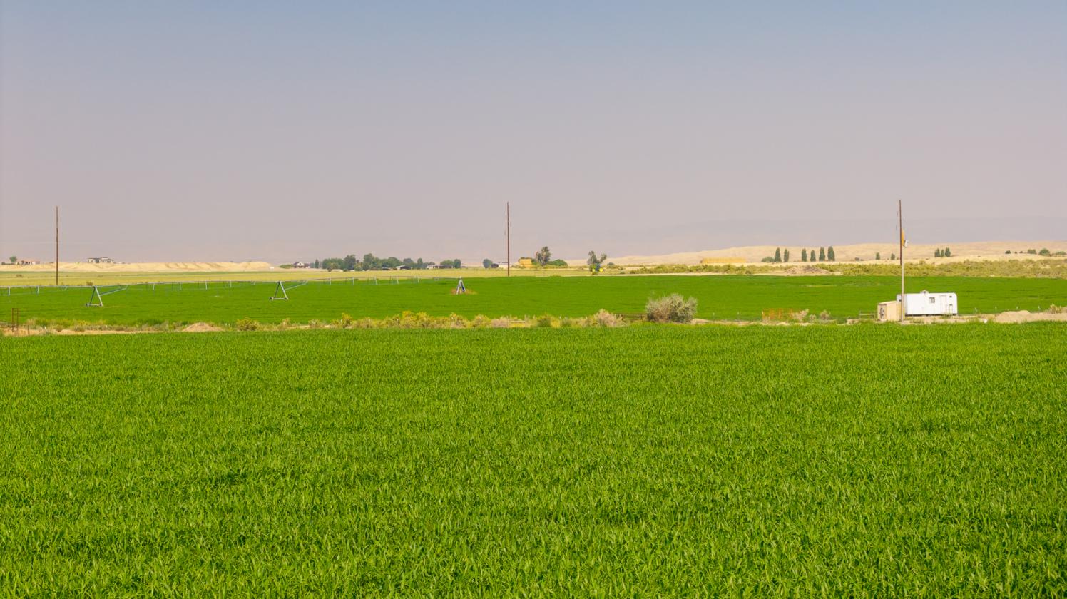 Wide Open Spaces with Irrigated Acerage - photo 3