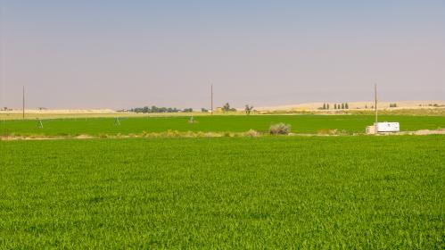 Property image.