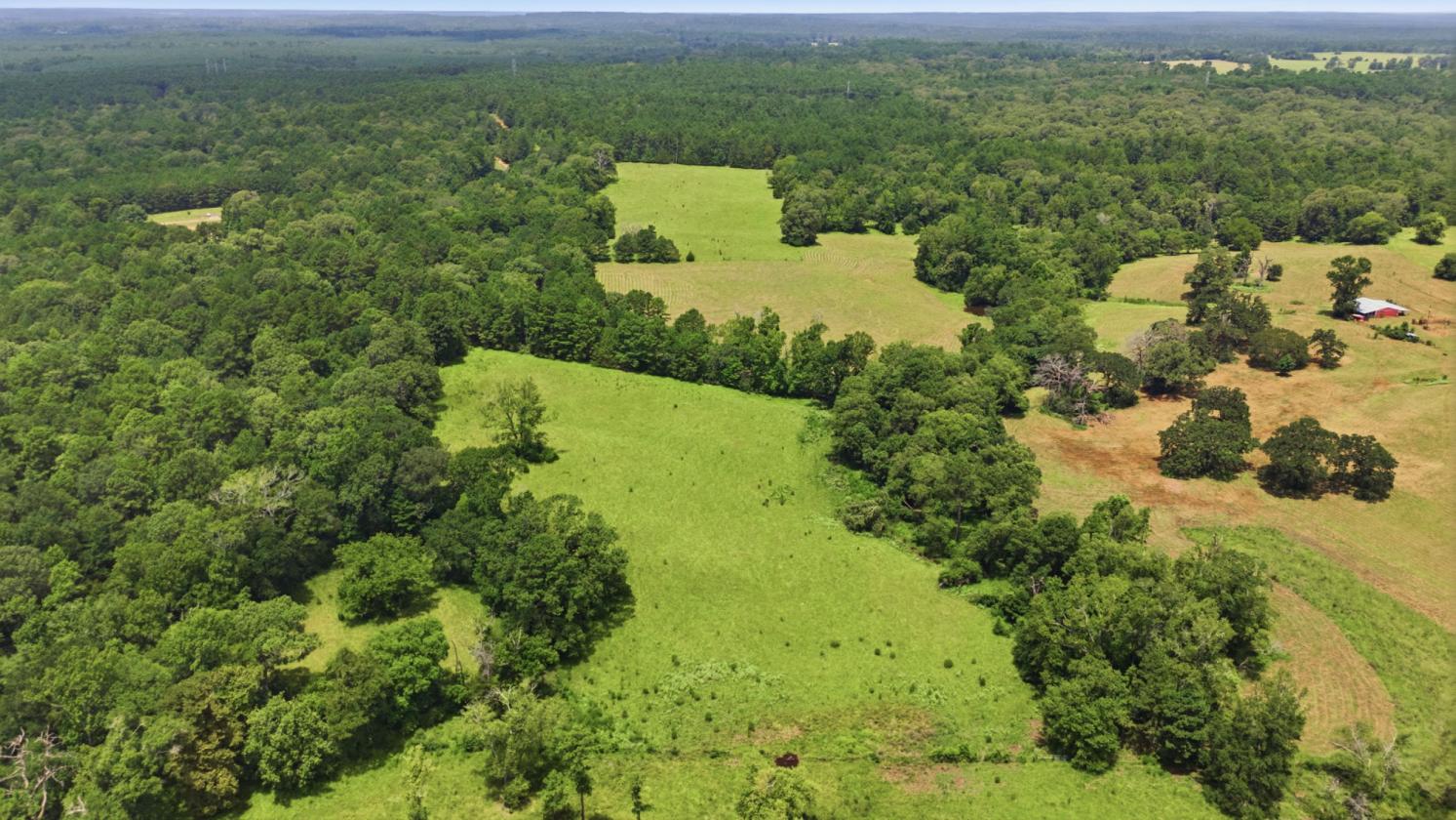 ~66 Acres + Updated Ranch Home + Ponds & Barn! - photo 29