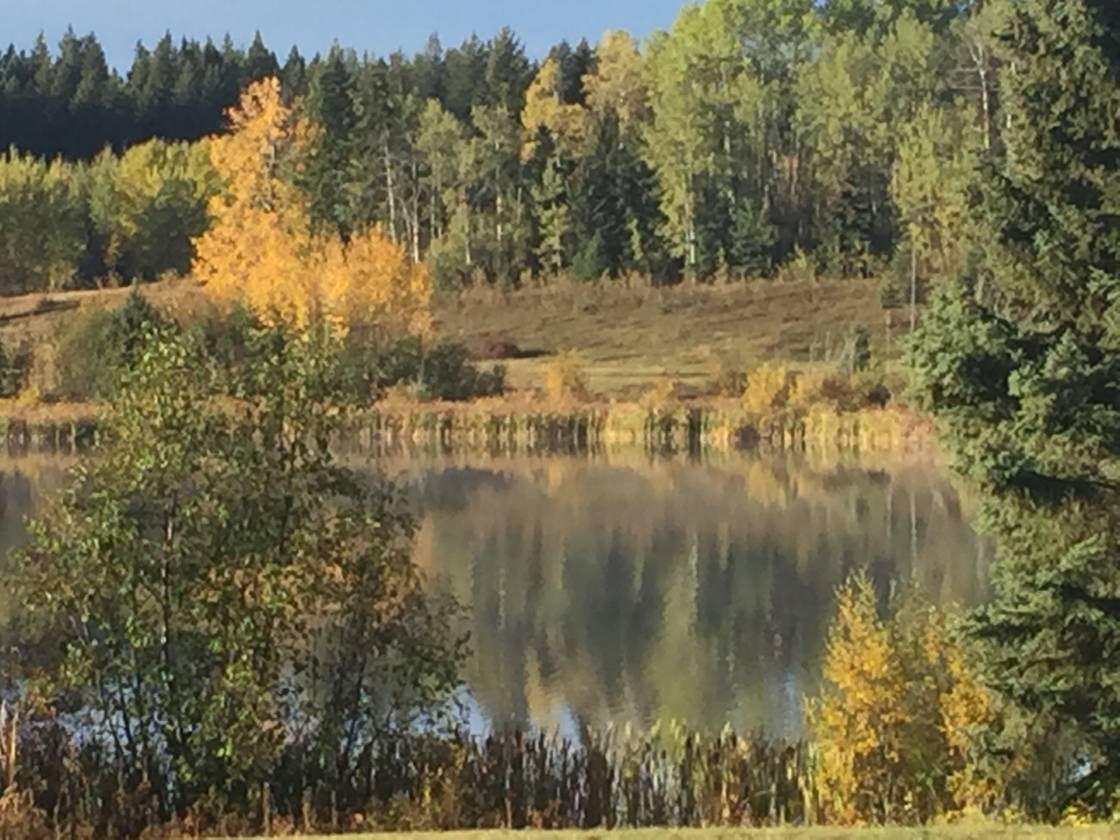 LIMESTONE MOUNTAIN RANCH HORSES, CATTLE, RECREATION Big Lake Ranch