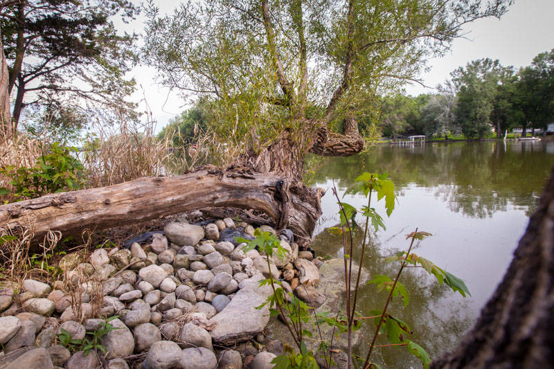 23 Acres of Trails Along The Rock River & Magnificent... Janesville
