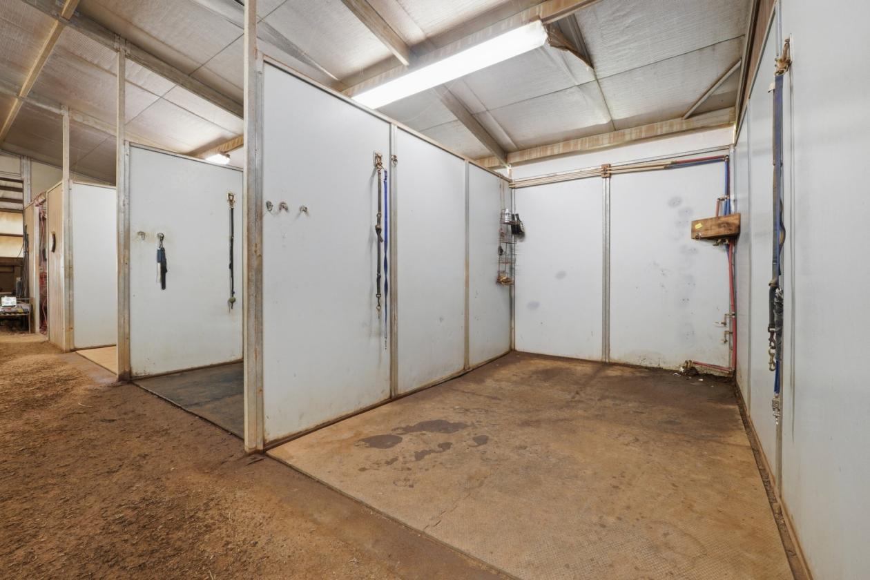 Premier 51± Acre Equestrian Opportunity - photo 12