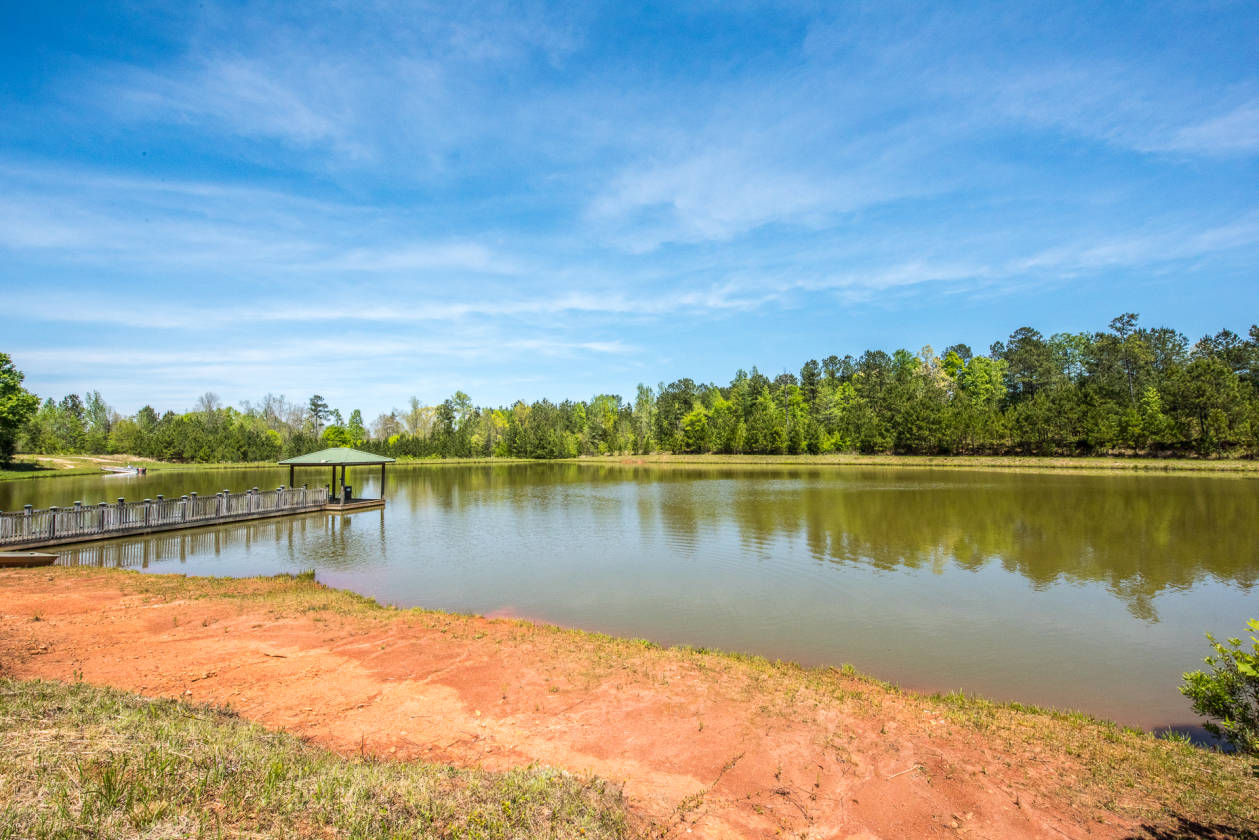 Southern PlantationStyle Masterpiece in Gentleman's Horse Country