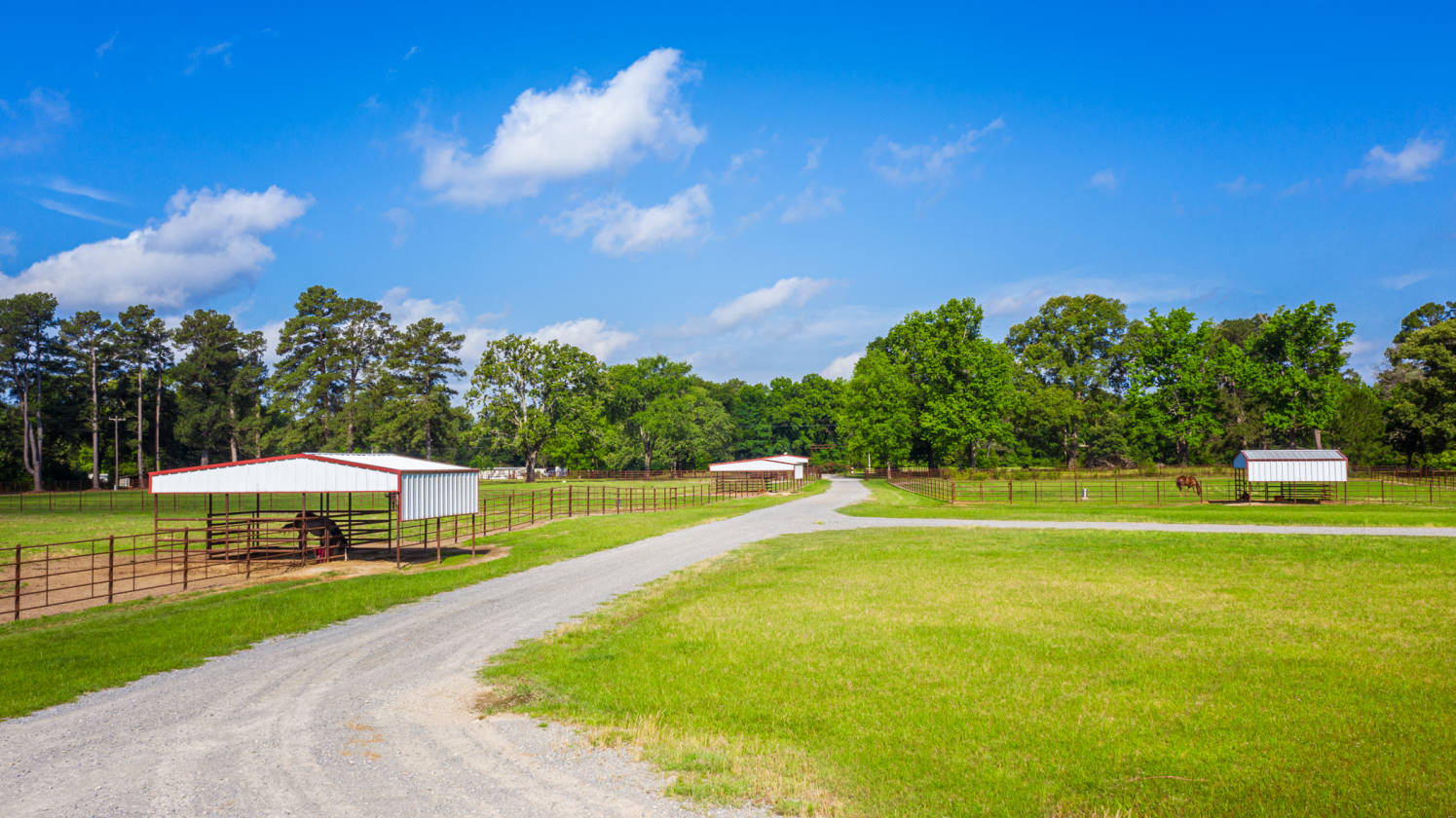 PREMIER 45.31AC HORSE FARM WITH ARENA, 8 STALL BARN, POND ...