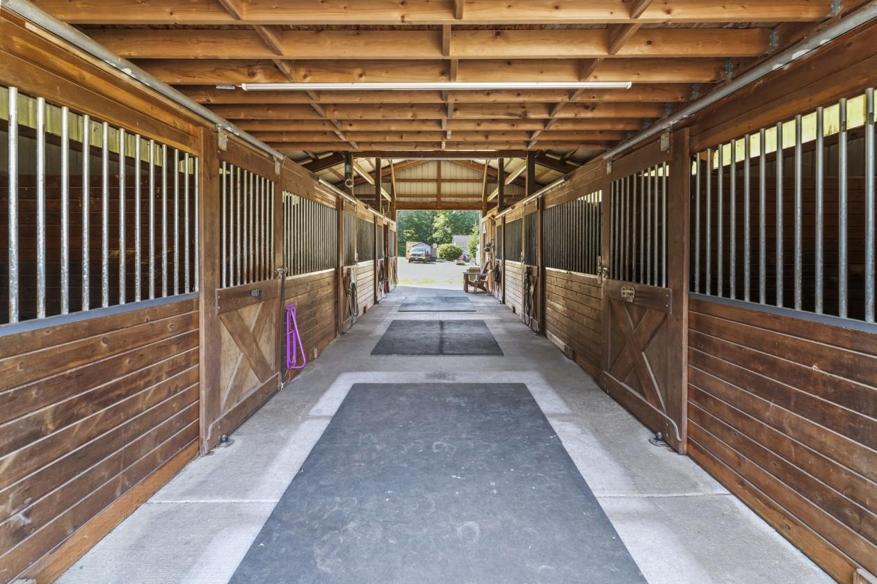 Income-Producing Horse Property - photo 4