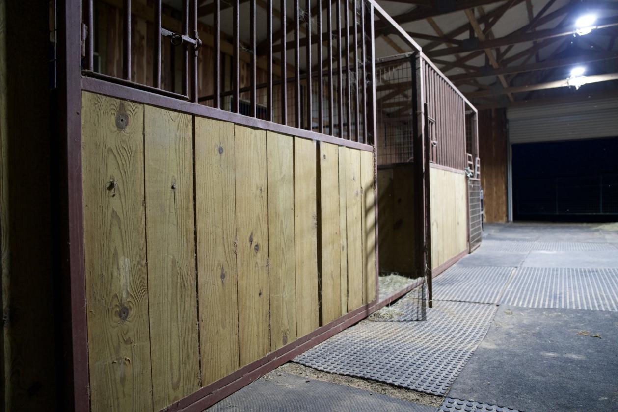 273+/- Acres With 20,000 Square Covered Arena - photo 13