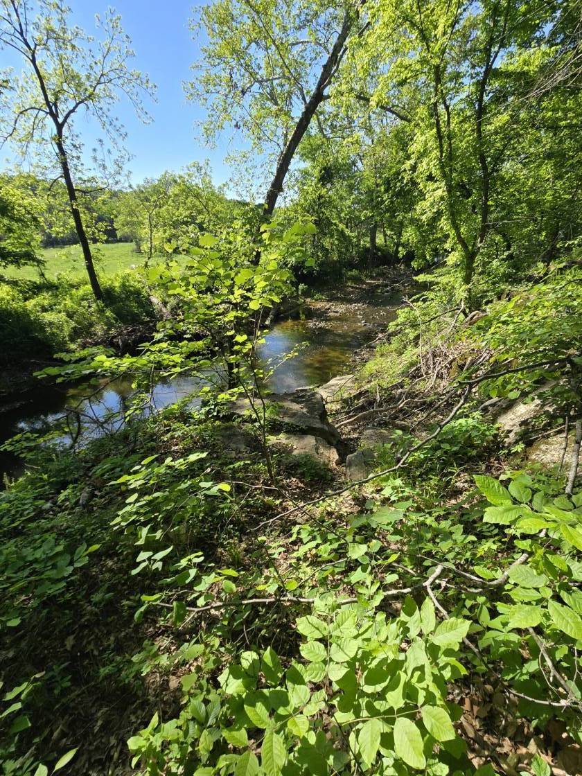 Luxury secluded home, 41 acres arena down the road - photo 25