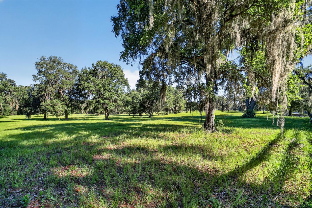 Luxury Living. Equestrian Excellence. - photo 14