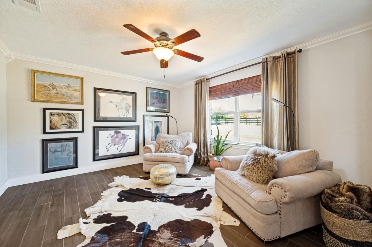 Horse property in the heart of the city - photo 15