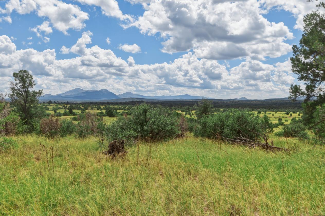 627 Acres in Yavapai County - photo 17