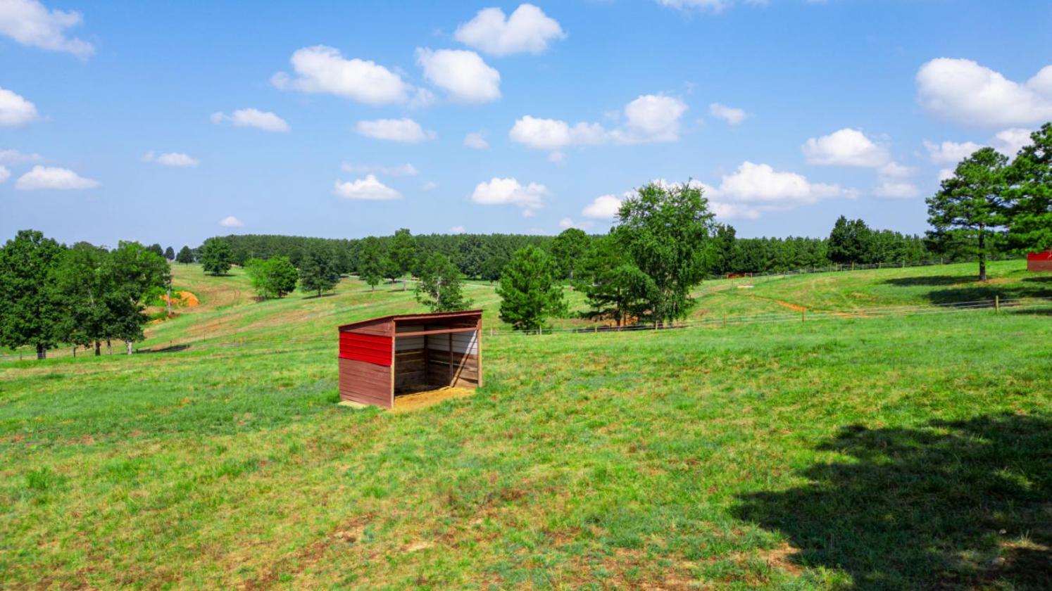 Where Equestrian Dreams Meet Reality - photo 6