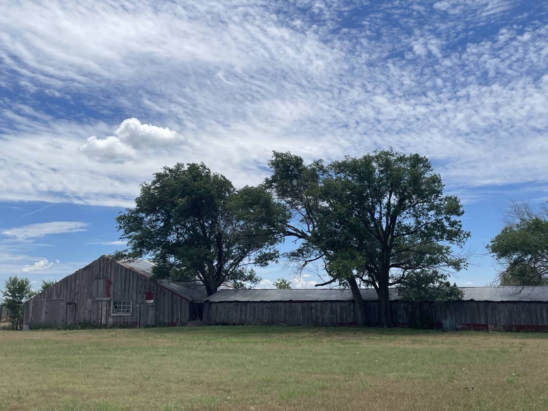 Horse Property for sale.