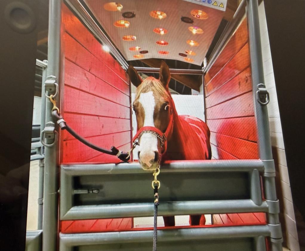 WORLD CLASS EQUESTRIAN ESTATE - photo 20