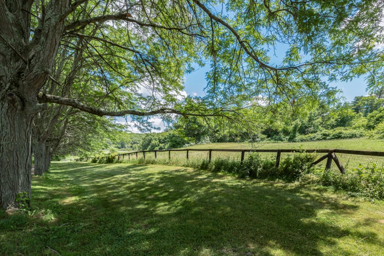Thriving Equestrian Facility - photo 16