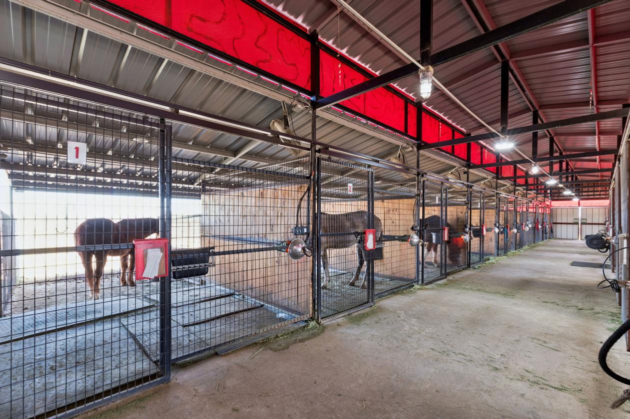Premier Equestrian Facilities - photo 15