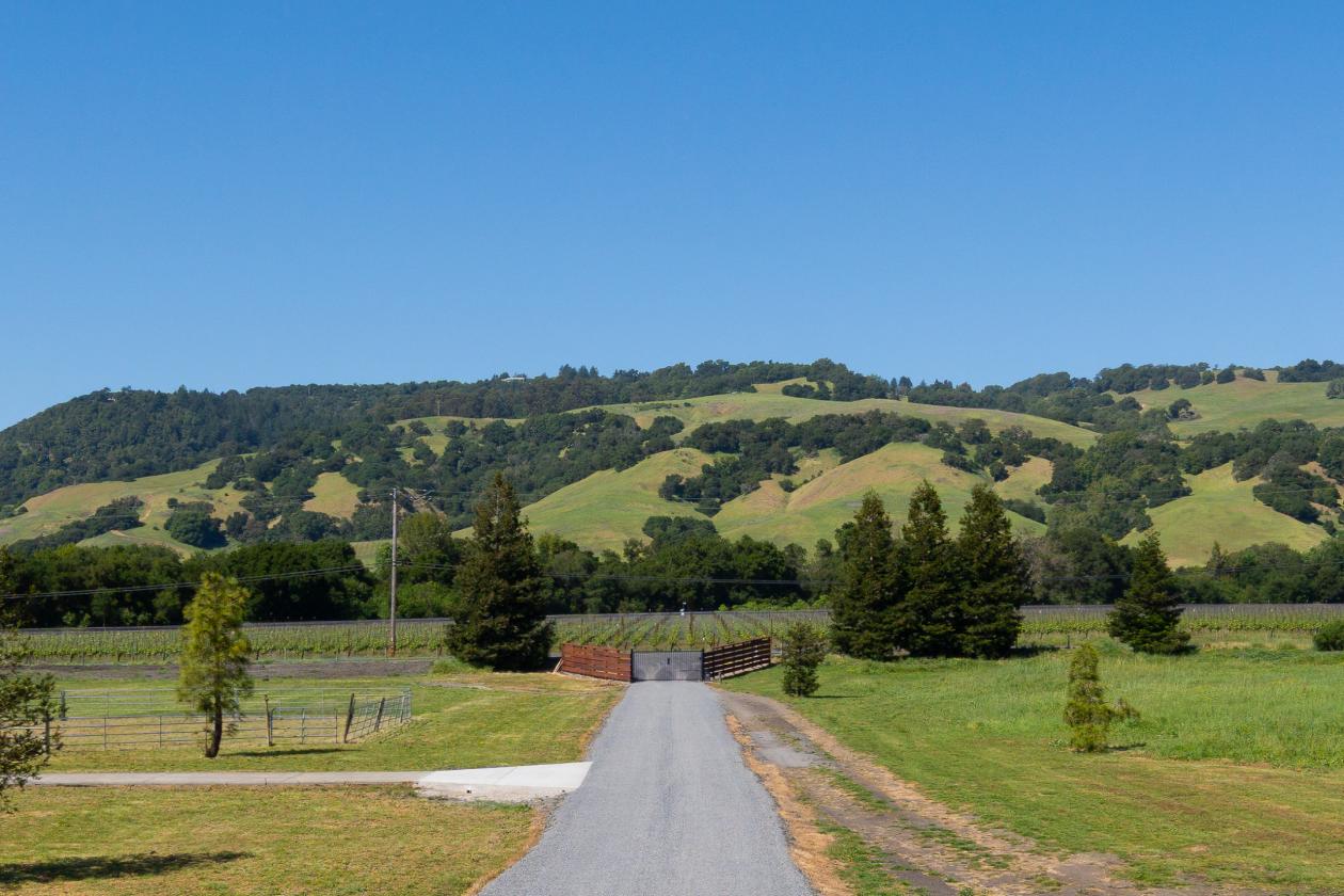 1450 Crane Canyon - Modern Farmhouse Living - photo 6
