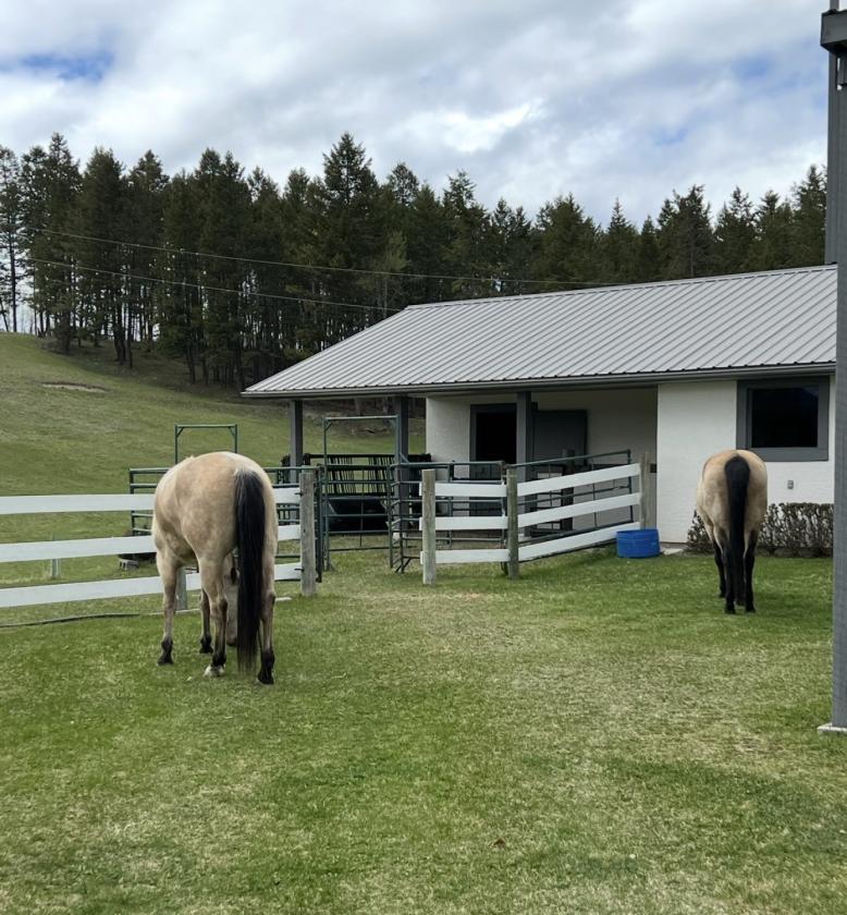 Horse Property in the heart of the Rockys - photo 4