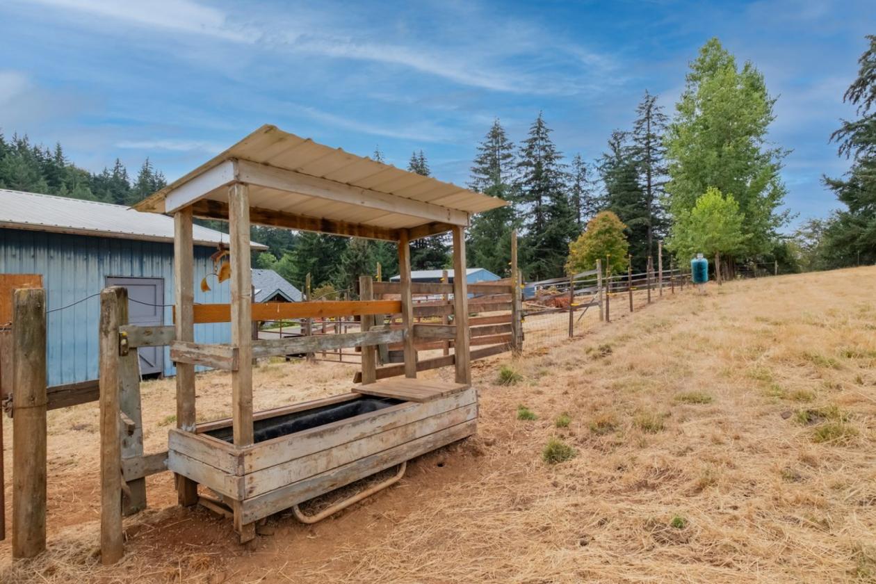 Oregon horse and hobby farm near town - photo 12