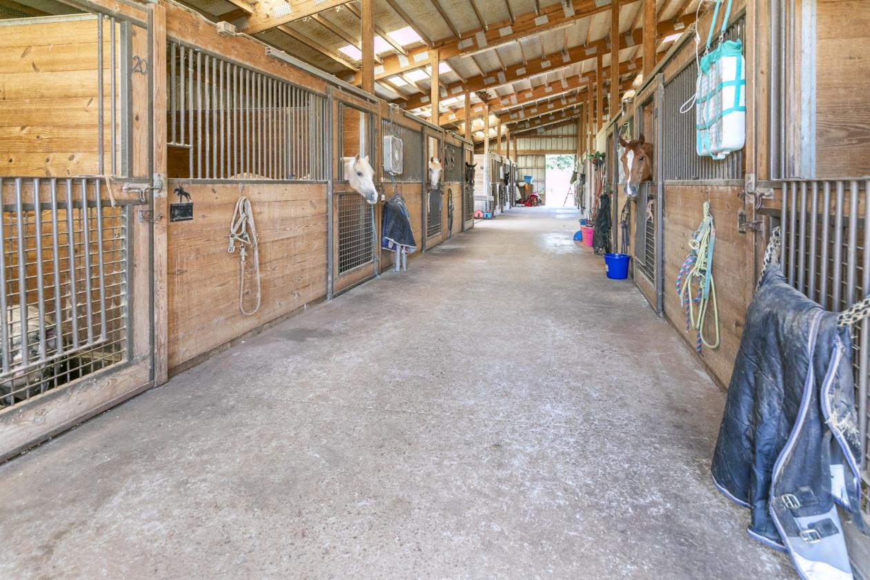 Professional Boarding/Training Facility - photo 6