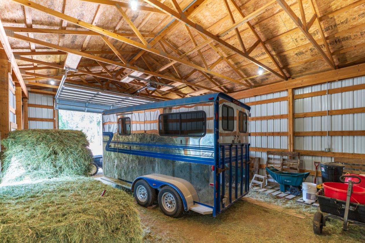 CALLING ALL HORSE LOVERS! - photo 23
